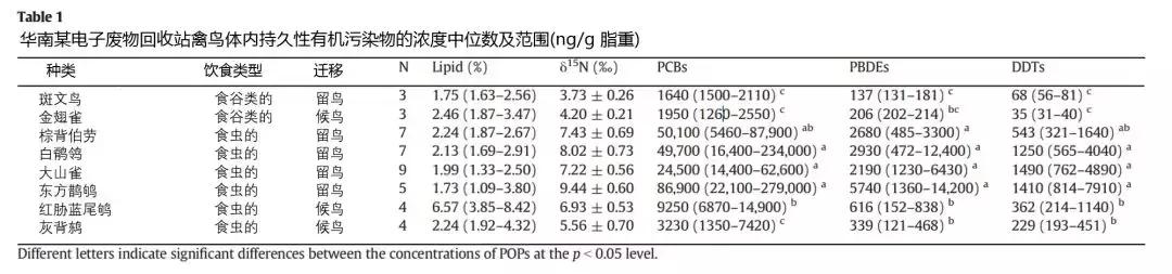 野生雀鹰的药效与作用,野生鸟内脏可以吃嘛