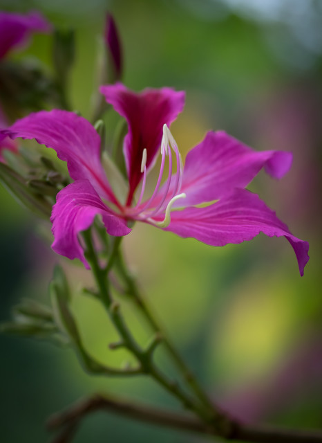 从《金缕衣》让迷失的你找到快乐之门