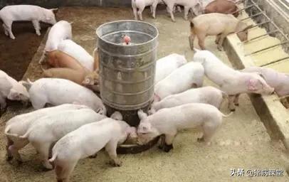 阿莫西林使用的注意事项,阿莫西林注意事项有哪些