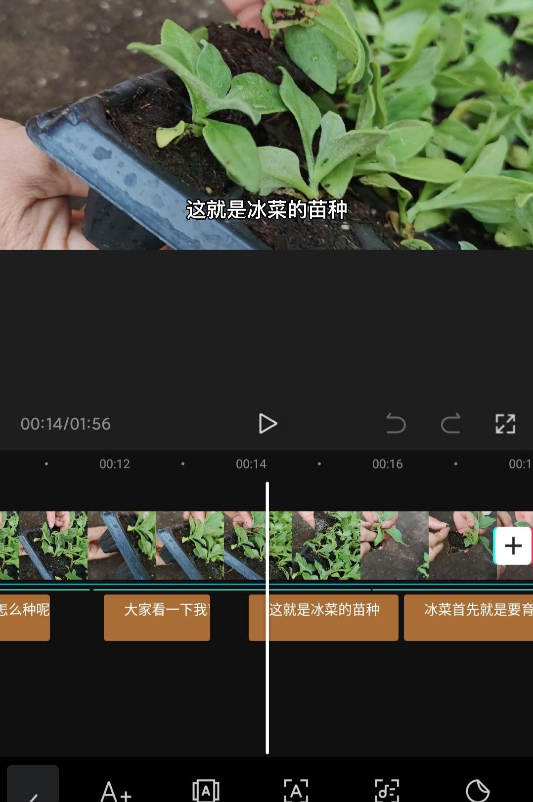 3分钟学会头条赚钱,1分钟之内的视频怎么赚钱