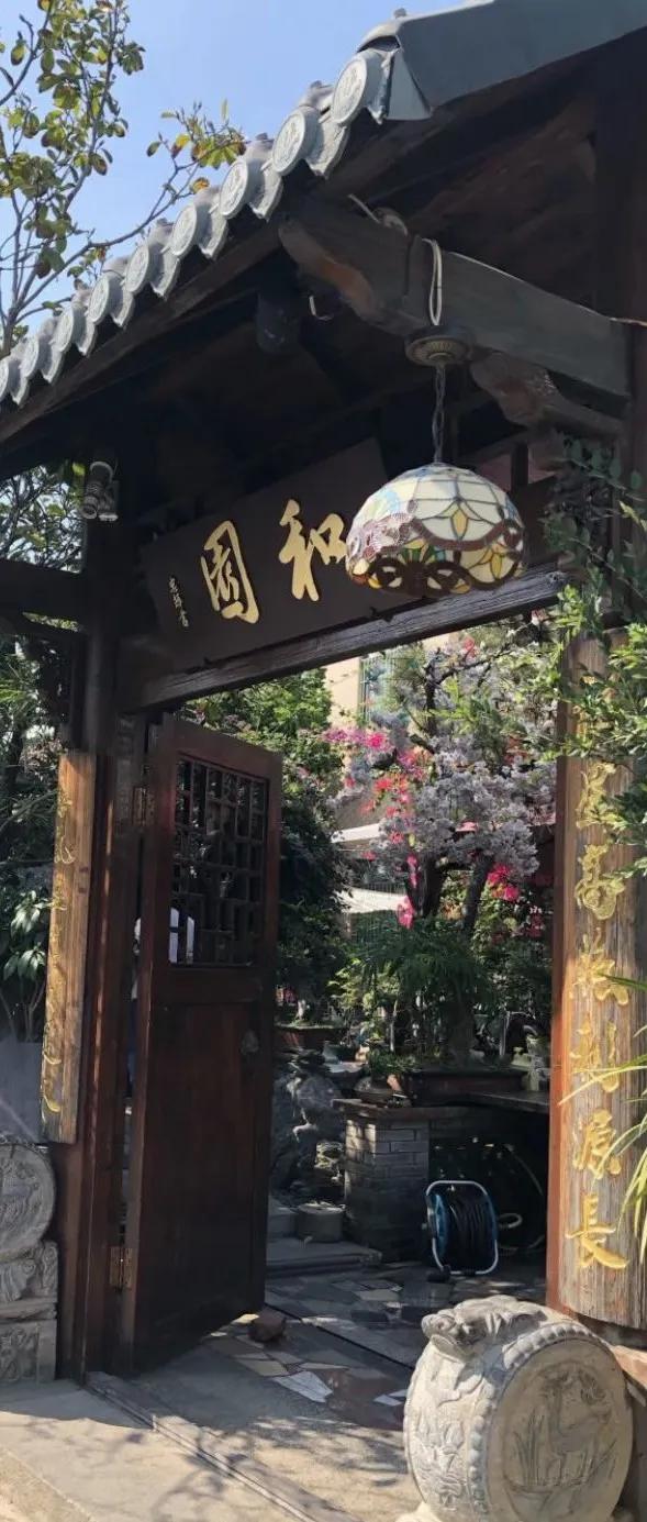 乐从附近哪家的烧鹅好吃,佛山顺德乐从烧鹅哪家店好