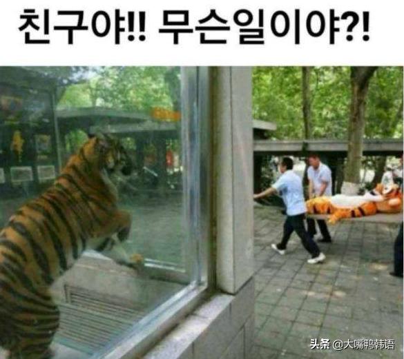 韩语1-10正确写法,韩语加油有几种写法