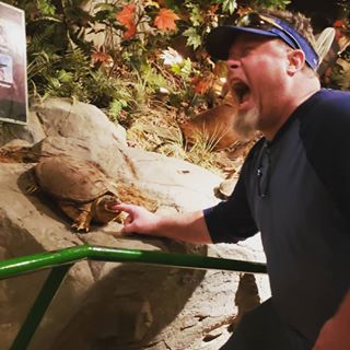 养龟其实很简单,养龟人朋友圈说说