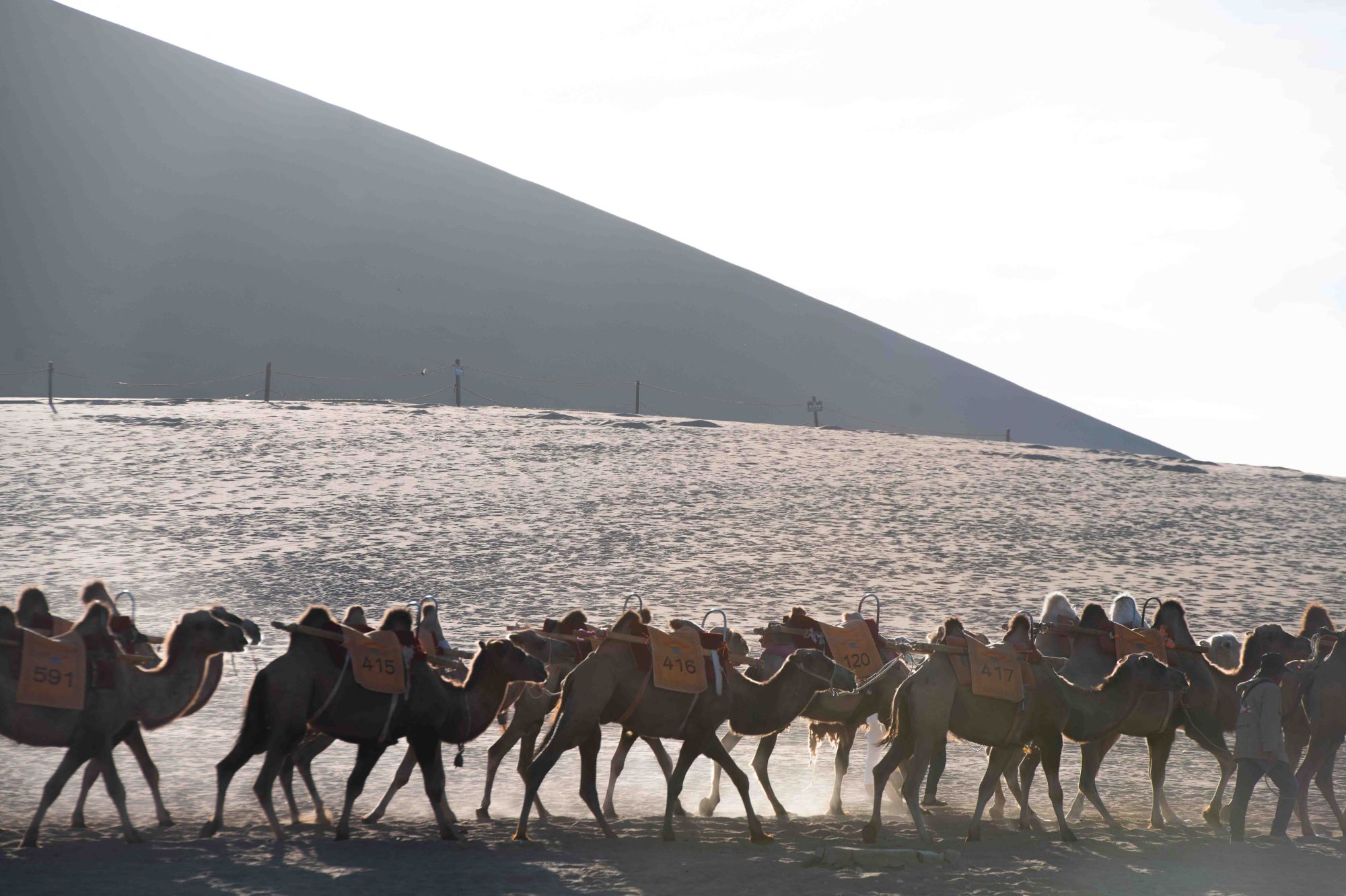 敦煌旅游拍照馆推荐,敦煌影视城拍照现代