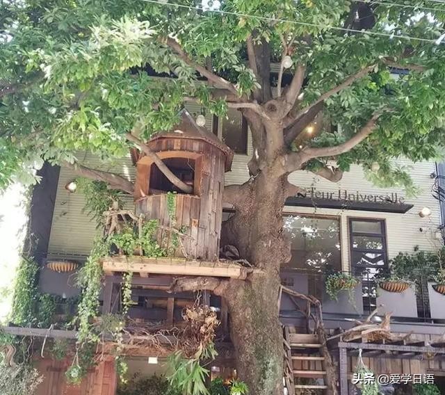 日本花店,日本花店是什么