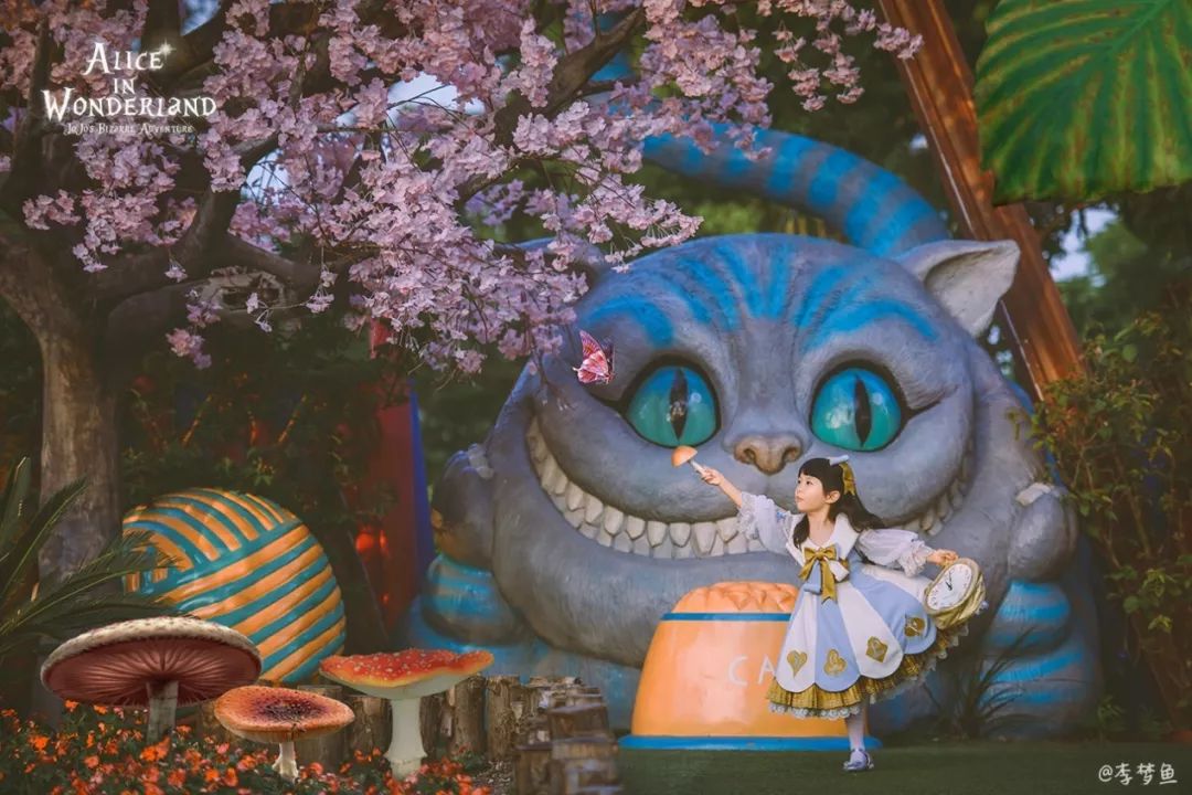 拿起尼康相机，带着孩子去记录美好的童年