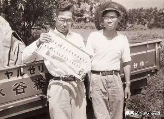 日本HACCI花绮低调、小众！吃、用、送礼两相宜！