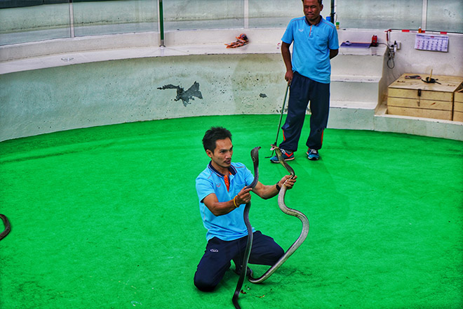 普吉岛跟团游全攻略,普吉岛跟团游省钱吗