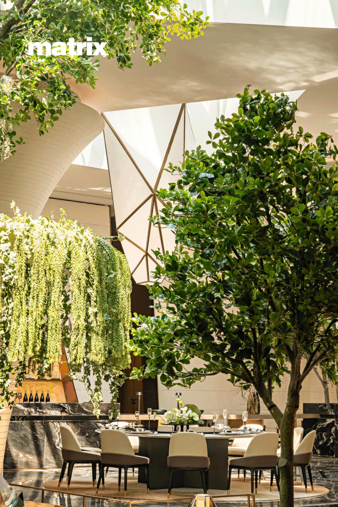 矩陣上海|石家莊龍湖·天奕城市之鑽森林之心