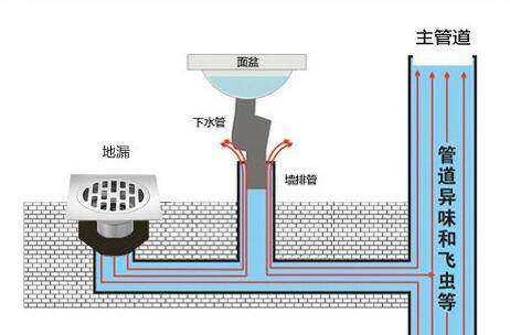 家里卫生间反臭找谁解决,家里卫生间反臭味怎么解决