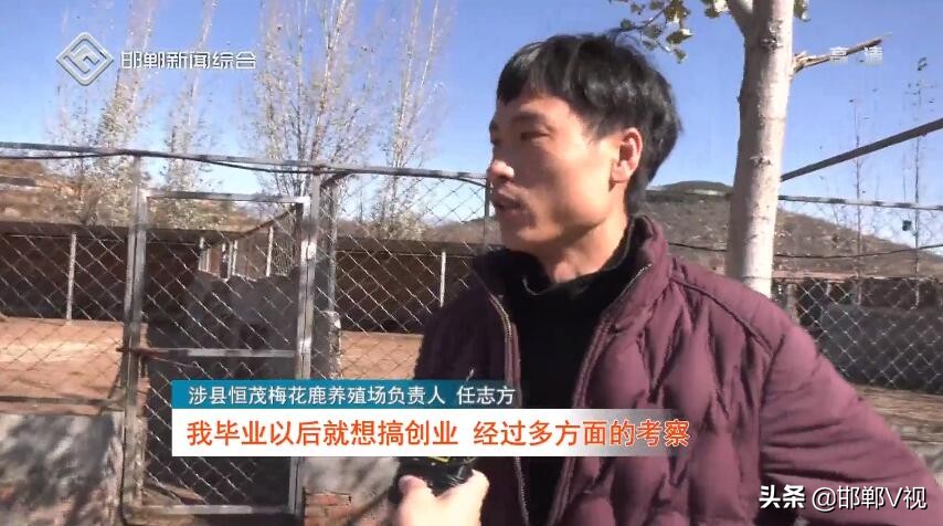 涉县任志方:90后小伙致富有“鹿”