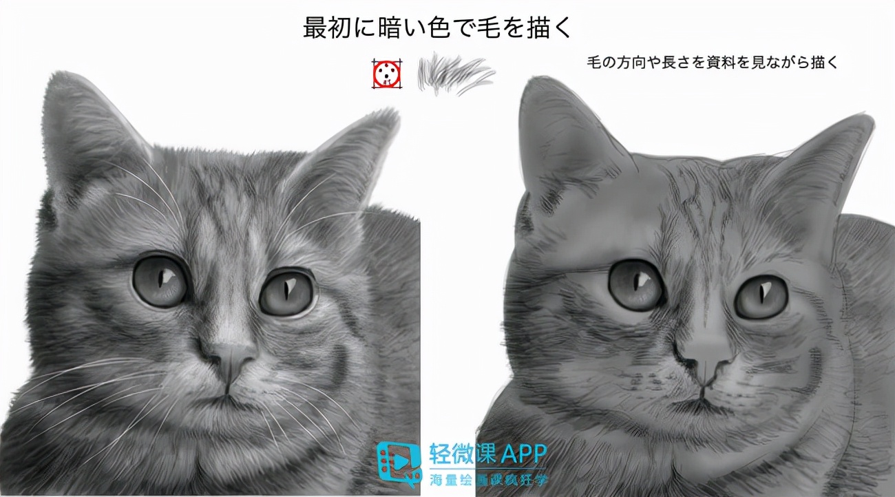 最最简单的动物画法,小动物怎样画出不同动作