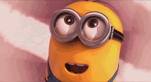 细胞饥饿疗法,细胞饥饿对细胞周期的影响