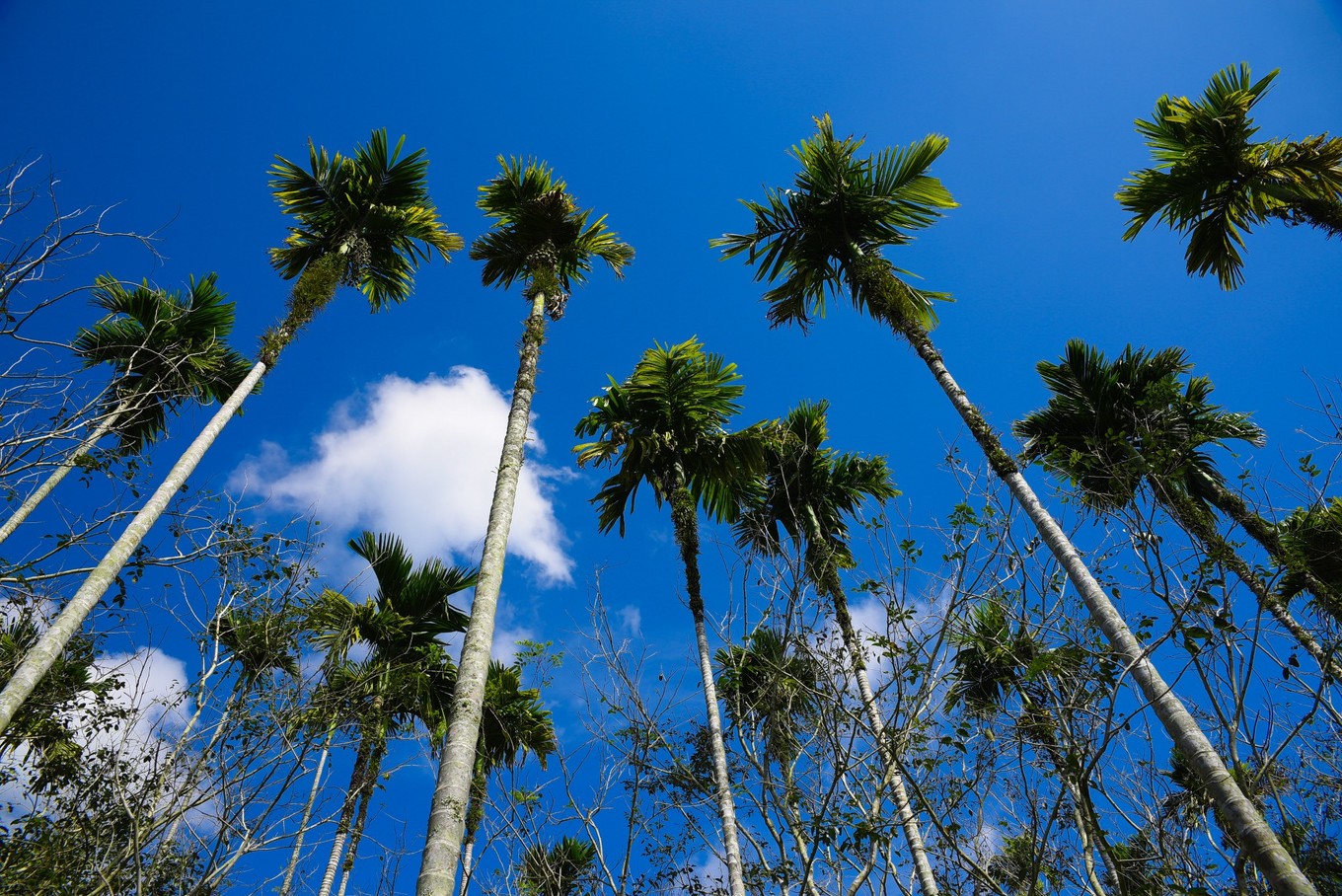 三亚旅游与美食攻略,三亚旅游攻略三亚美食