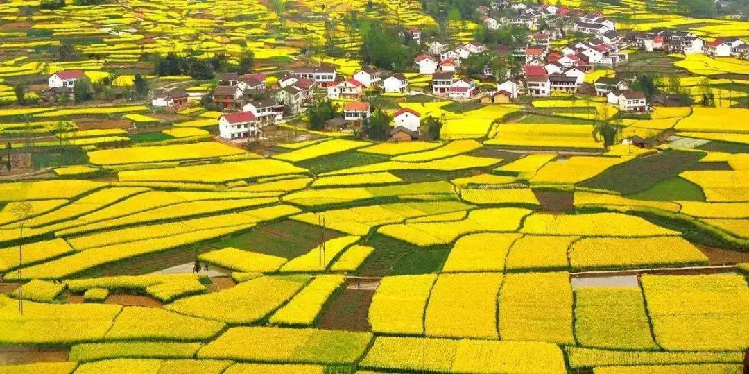 汉中聚宝盆在哪,新聚宝盆在哪里卖