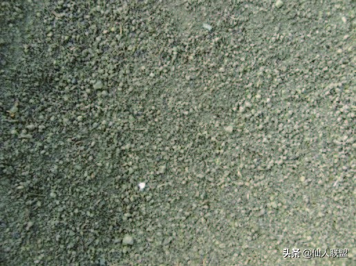 石食者THESTONEEATERS六