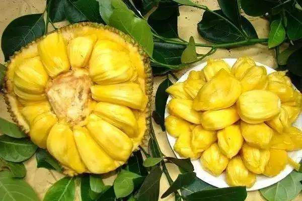 价格差距大的水果有哪些,日本最廉价的水果是什么