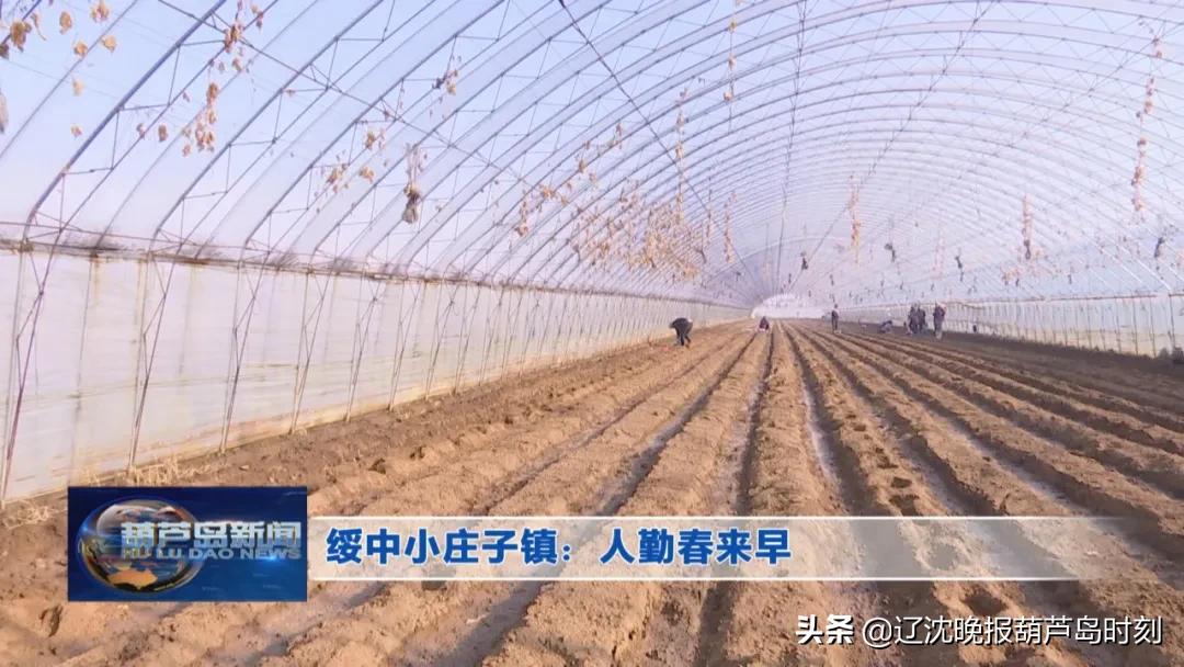 葫芦岛要闻快报,葫芦岛市今日快讯