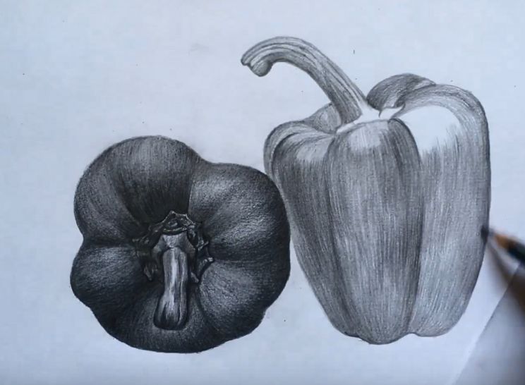 素描水果或蔬菜,素描蔬菜和水果怎么画出质感