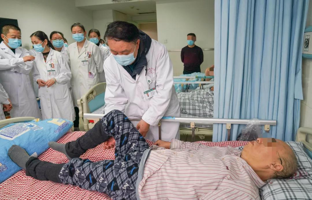 名老中医进医院,名老中医治肿瘤常用4味中药