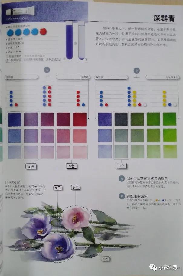 从零开始学绘画必备的画,从零开始学绘画第一步教程