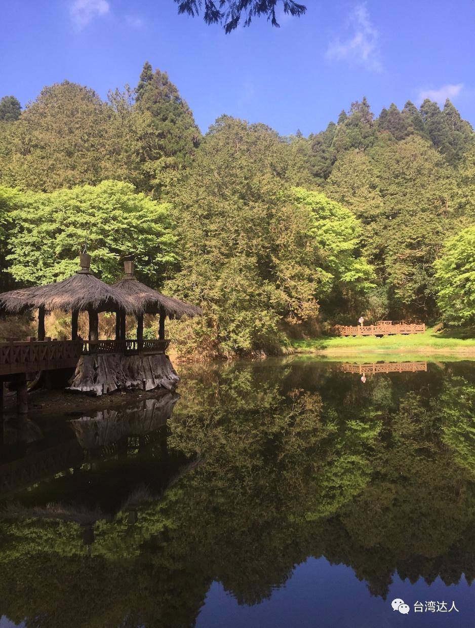 阿里山风景优美令人神往的好地方,阿里山有多美