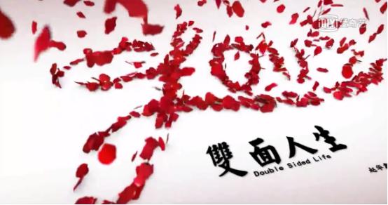 影视圈新媒体,新媒体电视剧