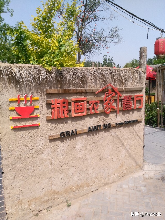 五谷杂粮制作的手工艺品,五谷杂粮制作工艺品