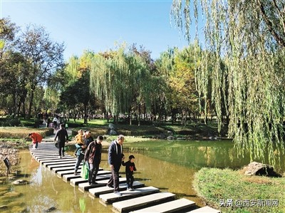 西安市高度重视生态环境,西安生态环境最新消息