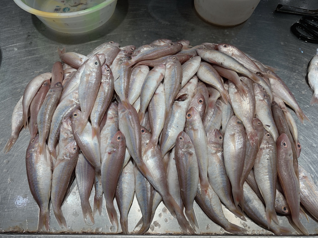 北海干货海鲜批发市场哪个便宜,北海菜市场买海鲜哪个最新鲜