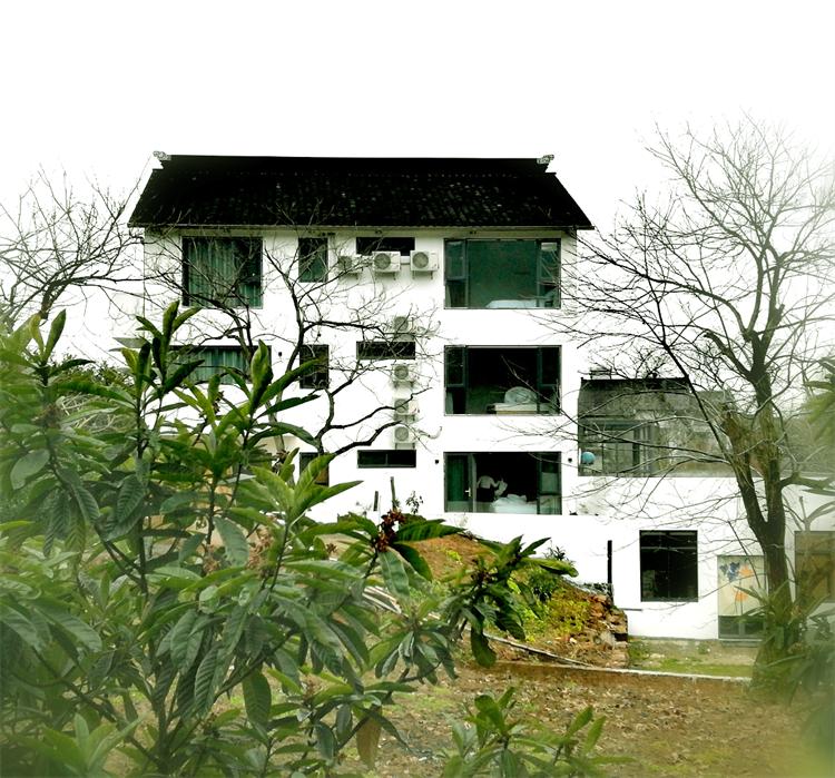 清晨走进森林氧吧呼吸新鲜空气,一起去森林氧吧洗肺