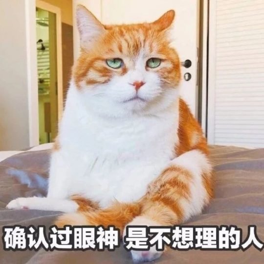 春节海参的简单最佳吃法,冬季吃海参听听专家怎么说