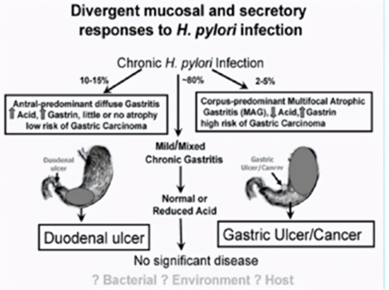 萎缩性胃炎是脾胃虚寒引起的吗,萎缩性胃炎算是严重的胃病吗