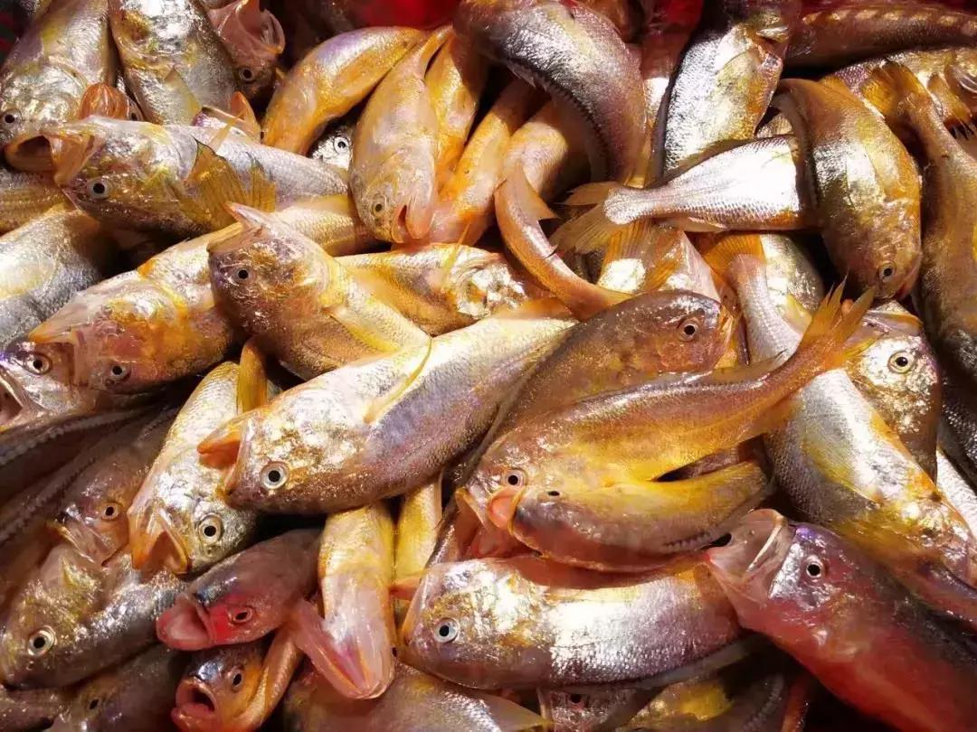 广州南沙区飞速发展,即将崛起的广州南沙区