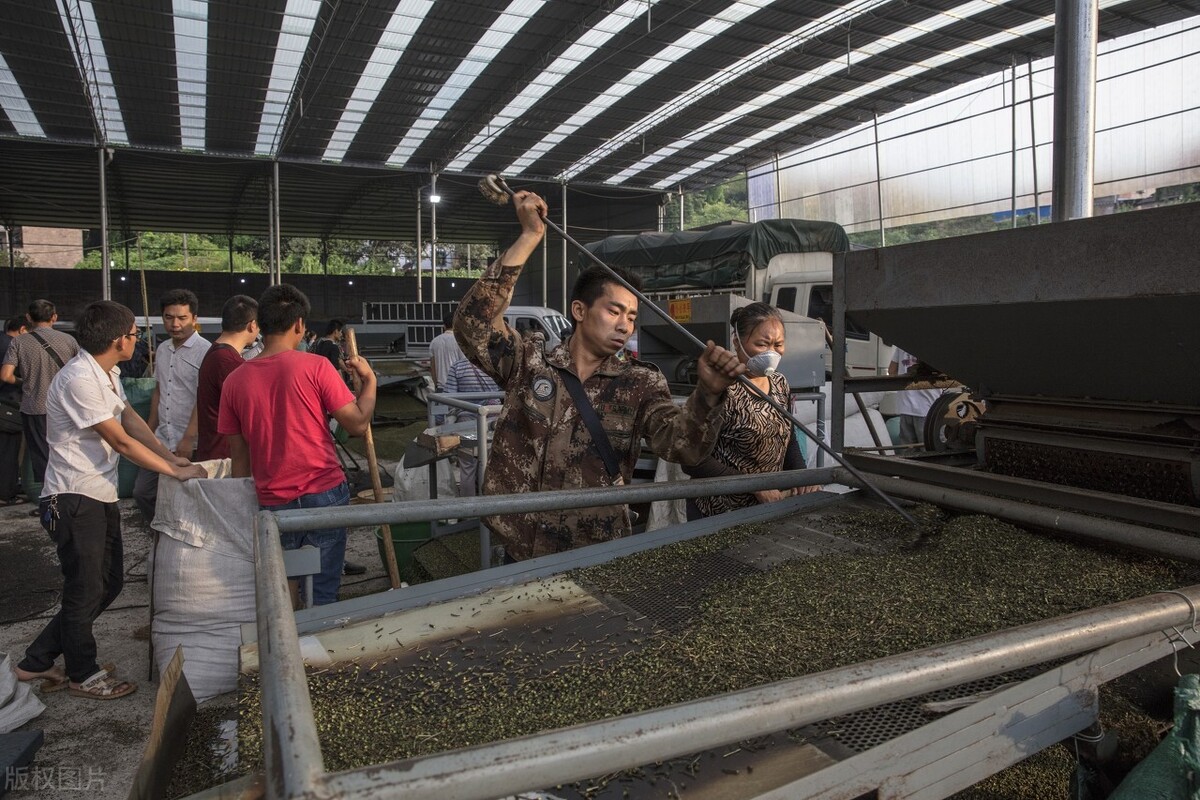 大叔收集废品变废为宝,重庆大叔创业