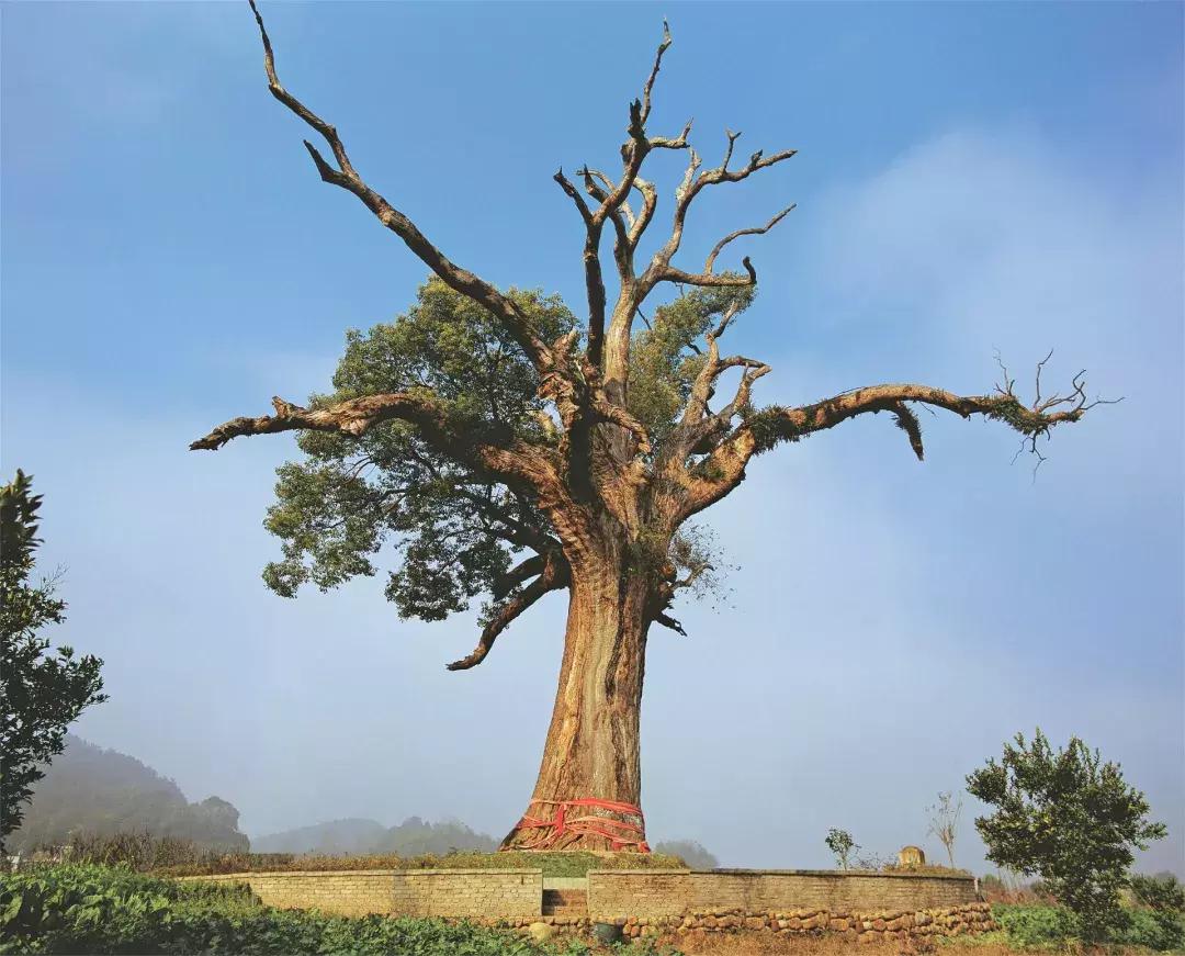 报名开启｜重回慈利，我们玩点不一样的！