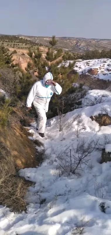 发挥基层党组织战斗堡垒作用抗疫,党组织战斗堡垒和先锋模范作用