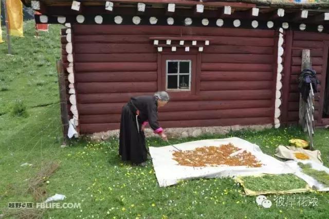 用灵魂触摸难以释怀的乡恋,用灵魂去触碰那段岁月朗诵