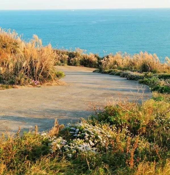 象山渔山列岛海钓,象山渔山列岛攻略