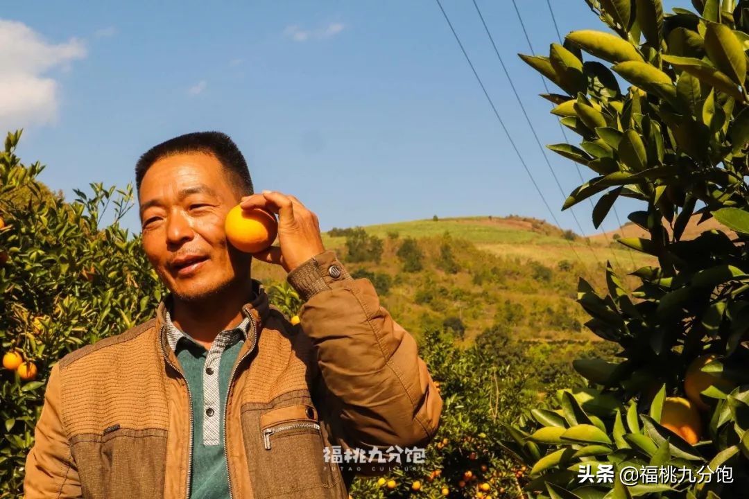 市场上卖的褚橙是真的吗,怎么区分真假褚橙2018