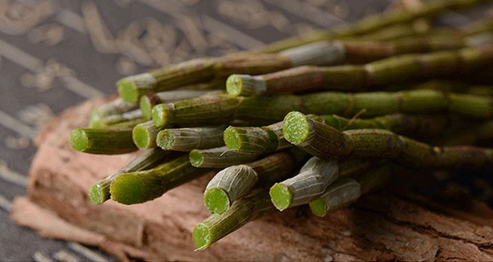 自己吃铁皮石斛什么样的最实惠,鲜铁皮石斛跟干铁皮石斛哪个好