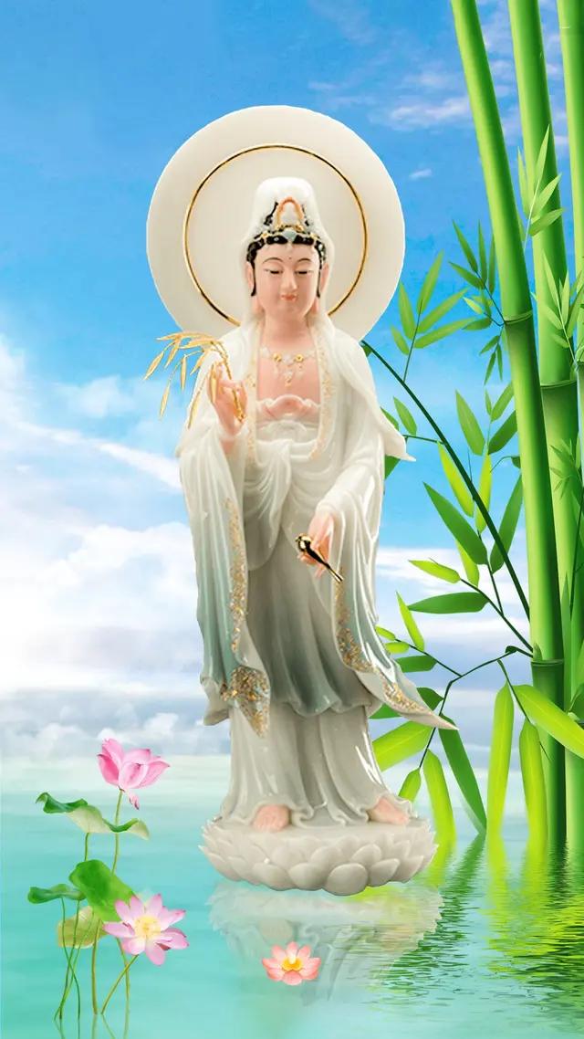 百看不厌的手机壁纸美图精选,佛系壁纸高清全屏无水印