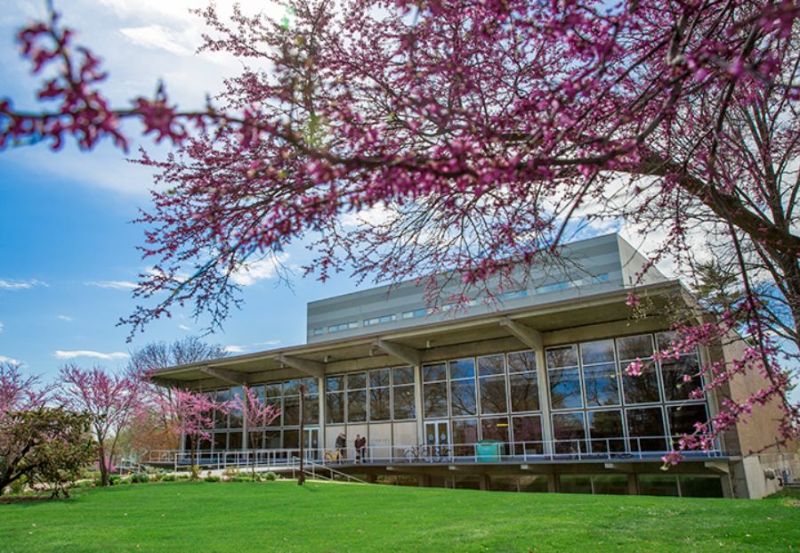 全美top50的大学,全美top50大学世界排名