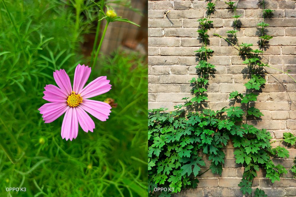 告别高价低配，贴上性价比的标签后，OPPOK3真的值得买吗？