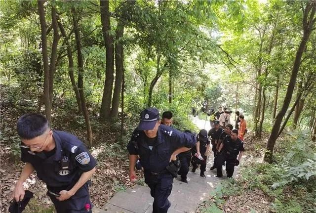 金钱豹被犬咬死,第二条金钱豹被狗咬死