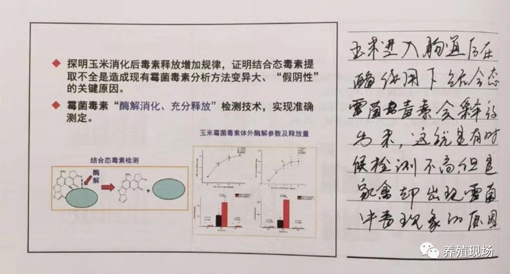 霉菌毒素对禽的危害,禽霉菌病怎么治疗