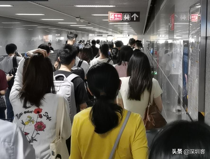 深圳2021年在岗平均工资是多少,深圳平均工资1万的占比