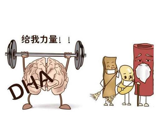 dha是补品吗,dha是不是真的必须要吃