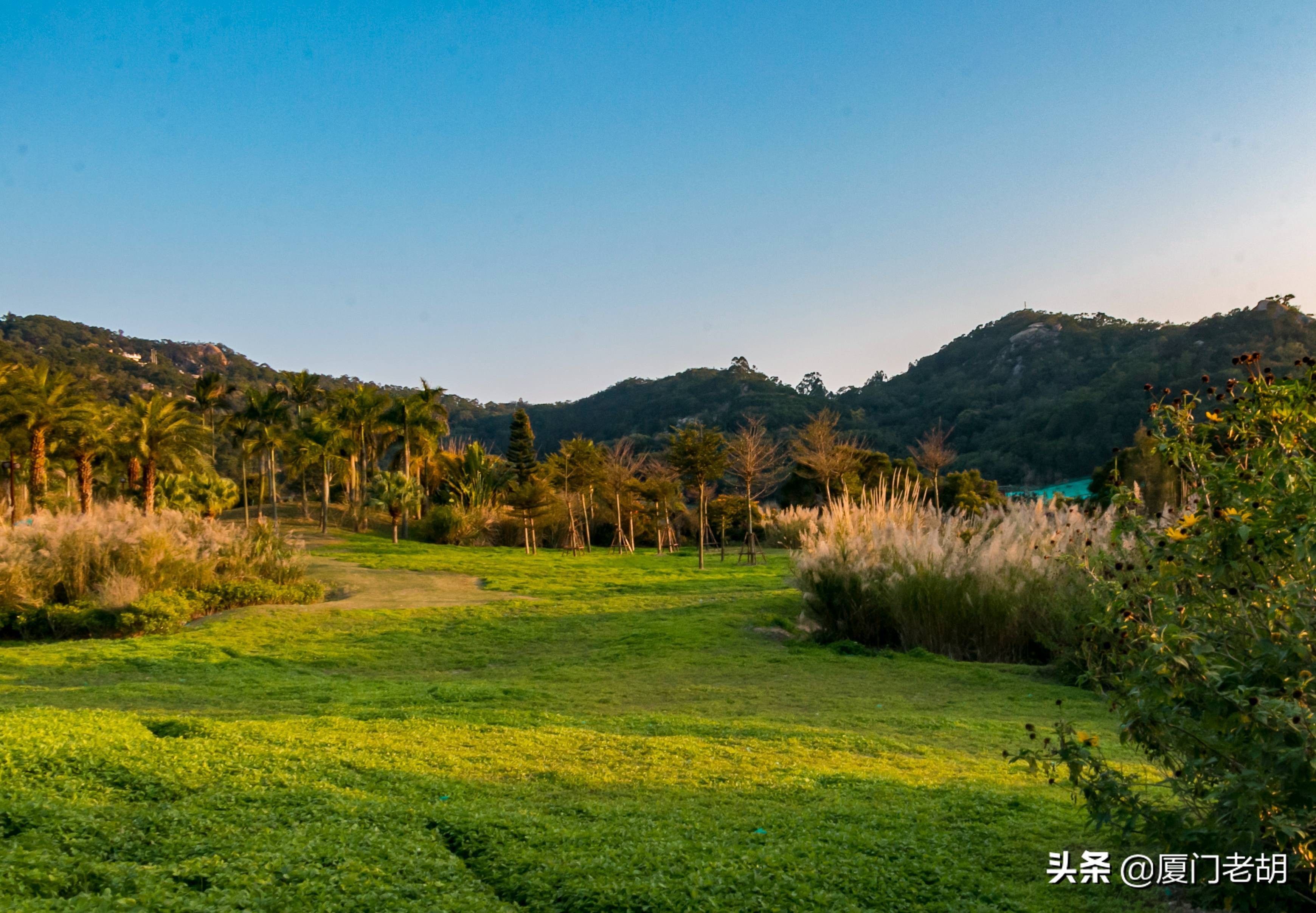 以前的高尔夫球场是怎么样的,旧高尔夫球场