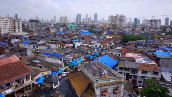 牛尿治新冠病毒,印度牛尿治新冠现场